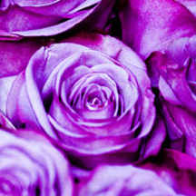 在线办公软件的DDOS网页端