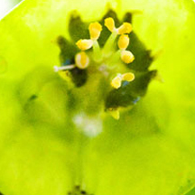 怎么攻击游戏服务器